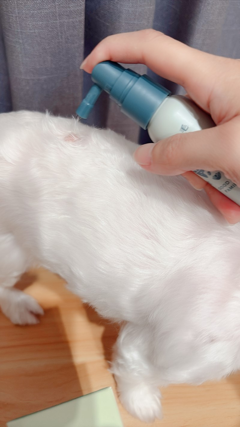 女人知己試用大隊,口碑行銷,部落客行銷,Goodmofamily歸毛家族 寵物肌膚救星組,歸毛家族 寵物肌膚救星,舒敏保濕洗毛乳,護膚噴液,精萃營養霜,博士30年生技專業,給足皮膚營養保護力,無抗生素 無類固醇,神經醯胺,19種綜合胺基酸,榮獲SNQ國家認證,上萬毛爸媽見證,3週幫助皮膚健康,NO.1寵物肌膚口碑霸主,寵物第一護膚領導品牌